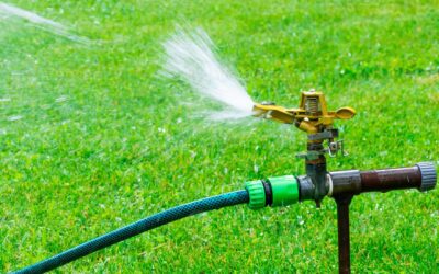How Much Water Can You Save With Artificial Turf?