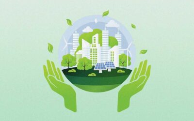 What Are The Environmental Benefits of Artificial Turf?