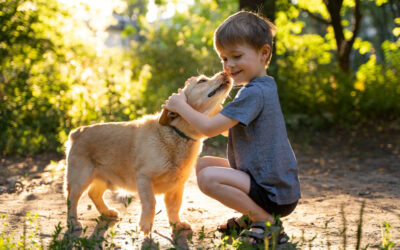 Is Artificial Turf Safe for Kids & Pets?