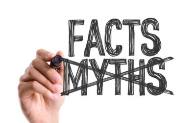 Top 10 Artificial Turf Myths Debunked