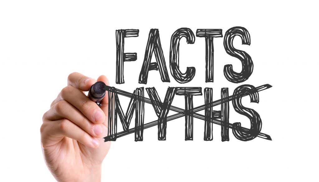 Top 10 Artificial Turf Myths Debunked