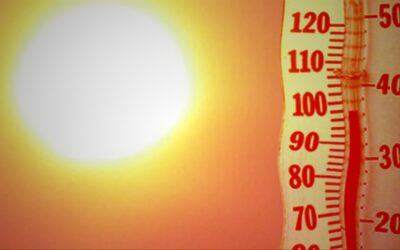 Does Artificial Turf Get Hot in Summer?