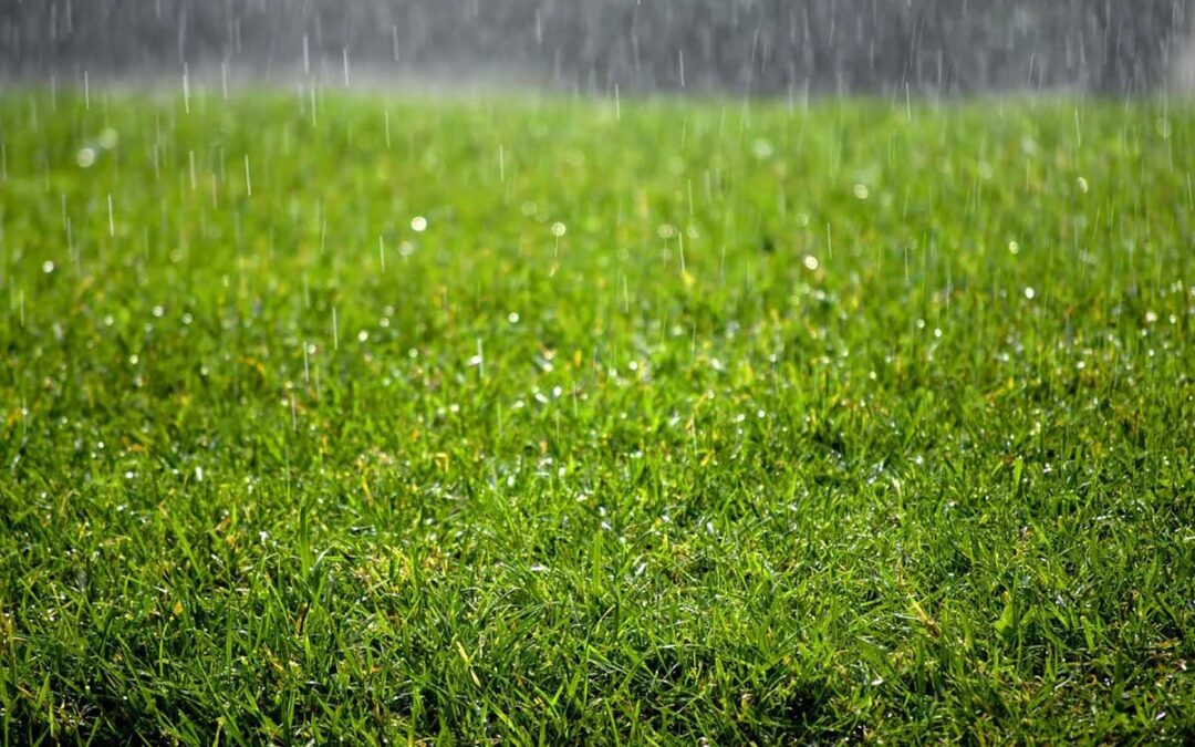 How Does Artificial Turf Handle Rain? Drainage Explained